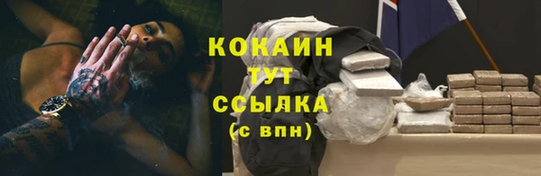 дмт Богородицк