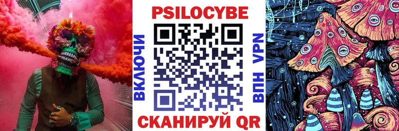 где продают   Полтавская  Псилоцибиновые грибы мухоморы 